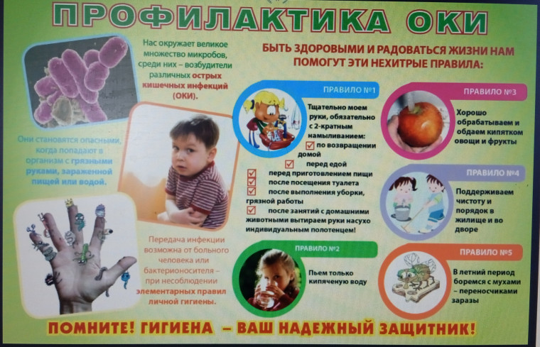 Внимание - Острые кишечные инфекции. Внимание - Острые кишечные инфекции.